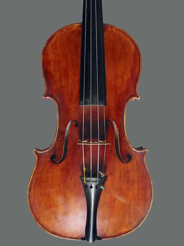 02 immagine della tavola superiore o coperchio del violino